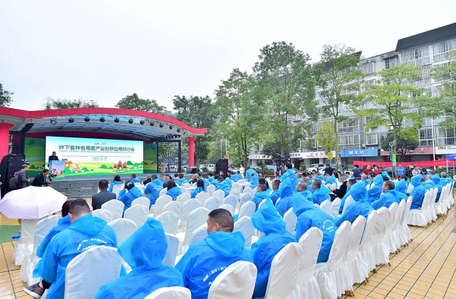 溫江區(qū)林下套種食用菌創(chuàng)新產(chǎn)業(yè)論壇