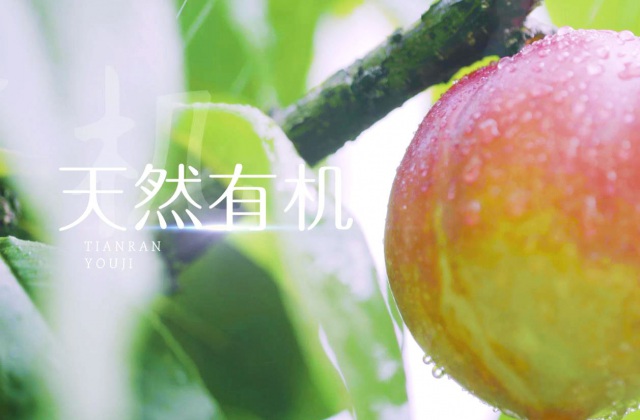 三元油桃產(chǎn)品宣傳片拍攝