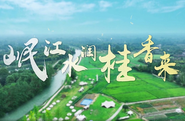 岷江村宣傳片拍攝